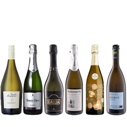 【送料当社負担】単一品種飲み比べ6本セット