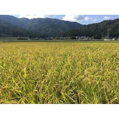 ＜吉田酒造＞永平寺白龍　DRAGONWATER