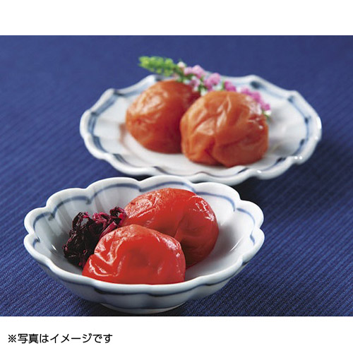 紀州南高梅　梅干２種