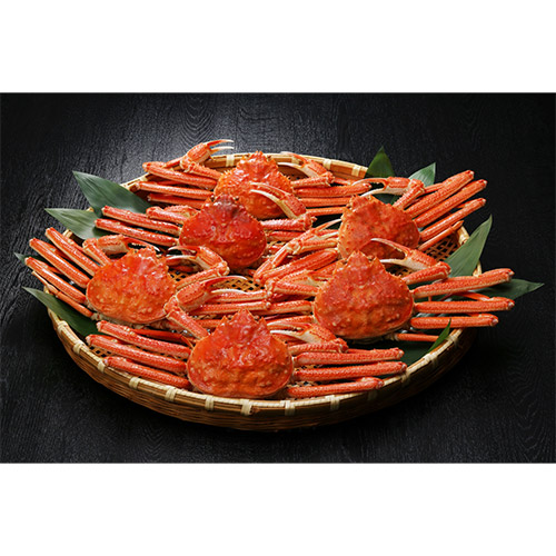 【ご自宅用/脚折れあり】大ズワイガニ３㎏（６~８尾）