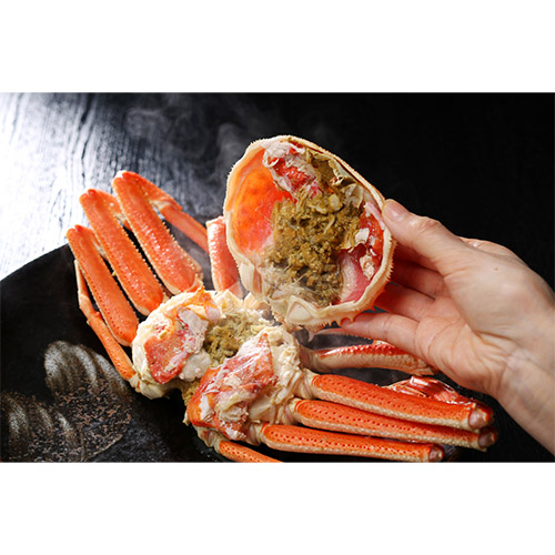 【ご自宅用/脚折れあり】大ズワイガニ３㎏（６~８尾）