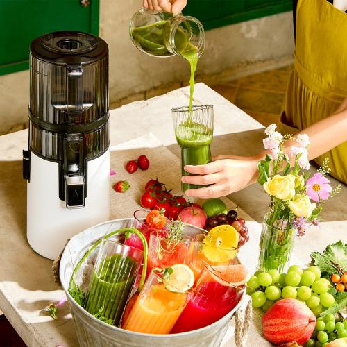 ＜ヒューロム＞コールドプレスジューサー H70FT（ホワイト）