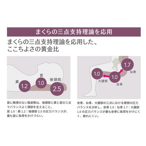 ＜西川＞nishikawa Keeps クッション for beauty　※送料込み価格