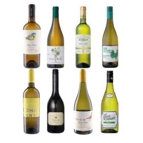 【送料当社負担】世界の金賞白ワイン8本セット