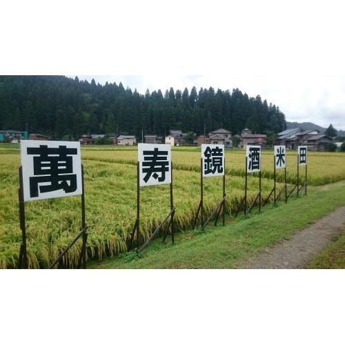 ＜マスカガミ＞甕爽々