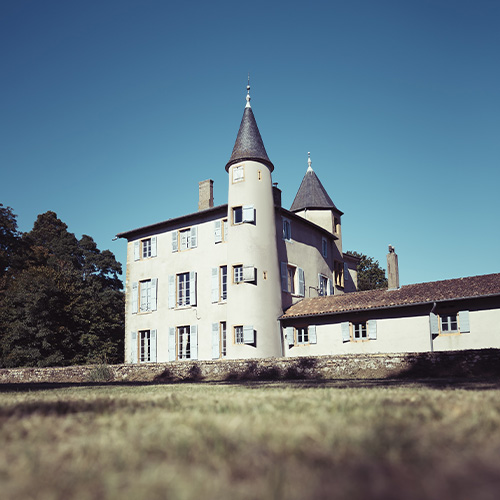 ＜メゾン・ジャン・ロロン＞ボジョレ・ヌーヴォー トラディション【2025】（赤ワイン）