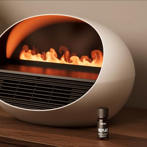 ＜Stadler Form＞Erik アロマファンヒーター