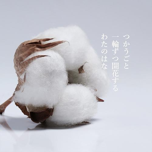 超無撚糸タオル　わたのはなNo.3