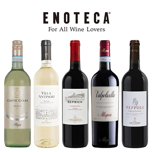 【送料当社負担】イタリア土着品種5本セット