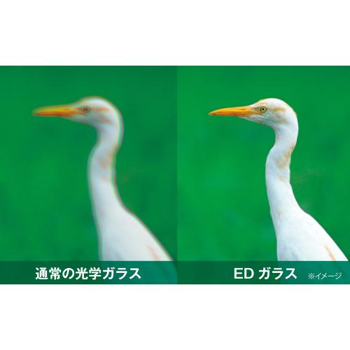 ＜Kenko＞双眼鏡 Avantar 10×25ED DH