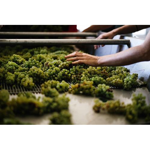 ＜ドメーヌ・シャンソン＞ル バスティオン ボ－ヌ プルミエクリュ ル－ジュ【2022】(赤ワイン)