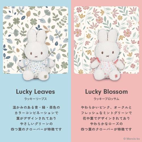 ＜Little Dutch＞miffy x Little Dutch　ぬいぐるみ20cm　オールパターン