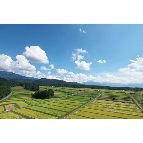 ＜一本義久保本店＞伝心「凜」純米大吟醸