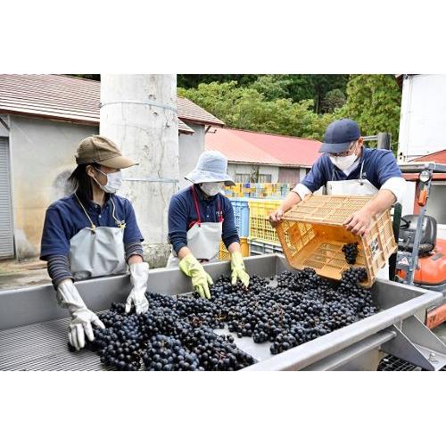 ＜月山トラヤワイナリー＞月山山麓醸造 赤白セット