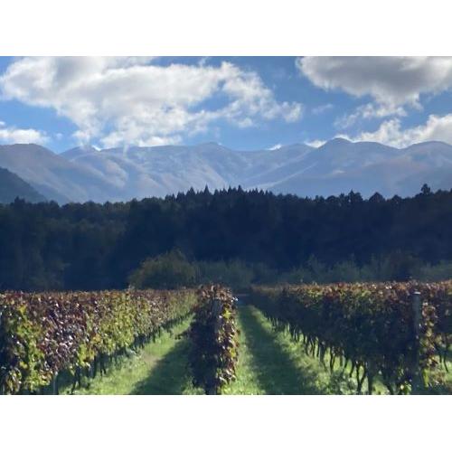 ＜信州たかやまワイナリー＞Murayori（むらより）赤白セット