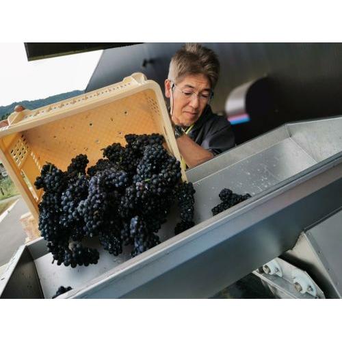 ＜信州たかやまワイナリー＞Murayori（むらより）赤白セット