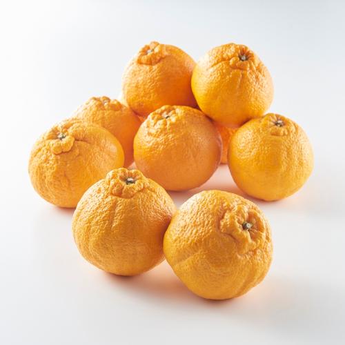 ＜熊本県産＞蔵出不知火露地3kg　化粧箱入【受注締め切り日：2026/4/30】