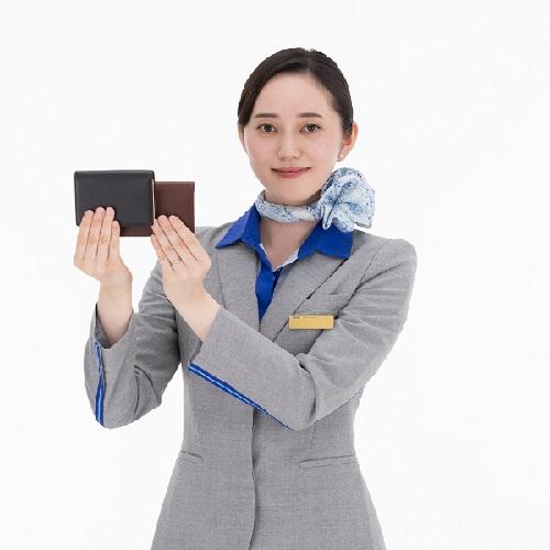 3月29日ANAにキュン！特別価格　＜ANAオリジナル＞D'URBAN for ANA INDEX 2roomカードケース