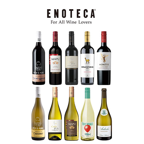 【送料当社負担】世界のカベルネ＆シャルドネ飲み比べ 10本セット