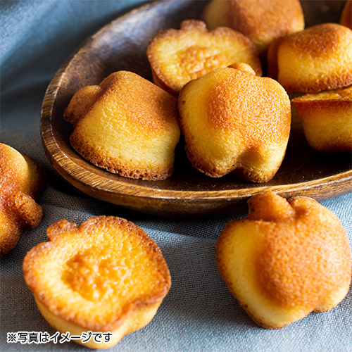 ＜りんごとバター。＞フィナンシェ10個入×2箱