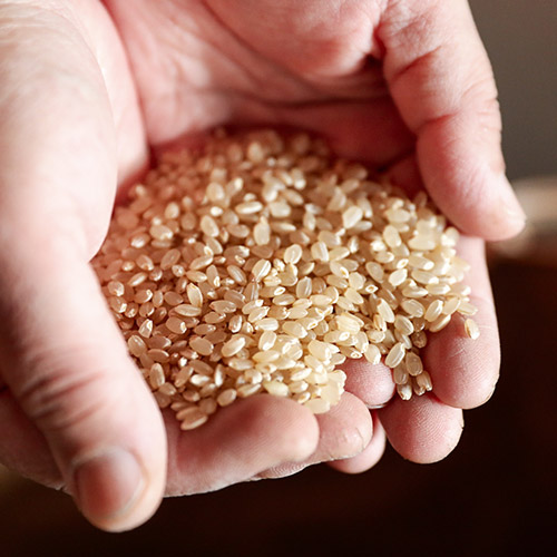 ＜芳賀にこにこ農園＞山形県産にこにこ玄米(雪若丸)300g×10パック