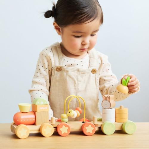 ＜PolarB＞バニーシリーズアクティビティトレイン