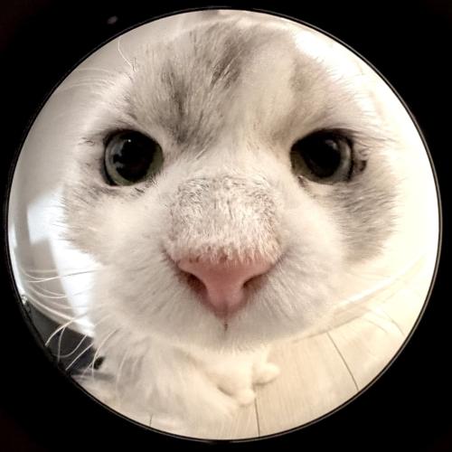 ＜Kenko＞EXAPRO スマートフォン クリップレンズ フィッシュアイ