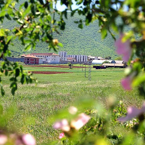 【送料込み】魅惑のブルガリアワインリュボフ赤白セット