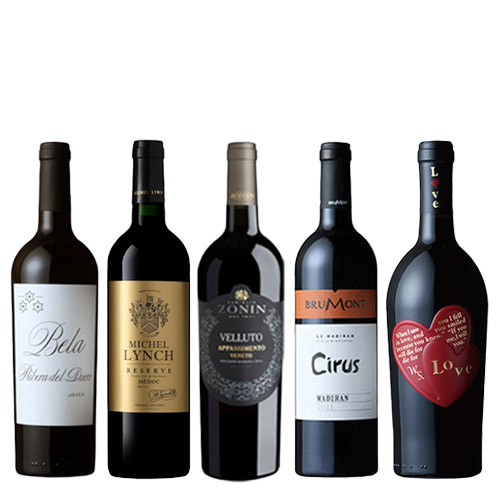 【送料当社負担】バレンタインをもっと楽しく♪チョコレートと合わせたい赤ワイン5本セット