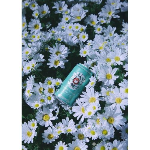 ＜木内酒造＞常陸野ネストビール　デイジーエール350ml×6