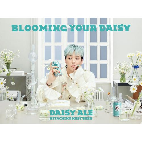 ＜木内酒造＞常陸野ネストビール　デイジーエール350ml×6