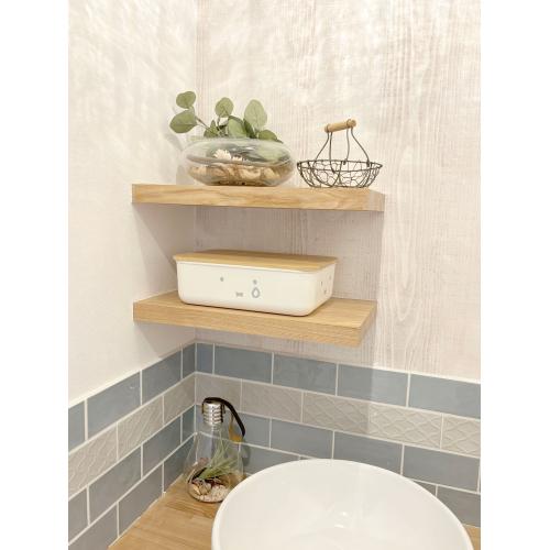 ＜オカトー＞miffyバンブーフタ付き収納ケースS