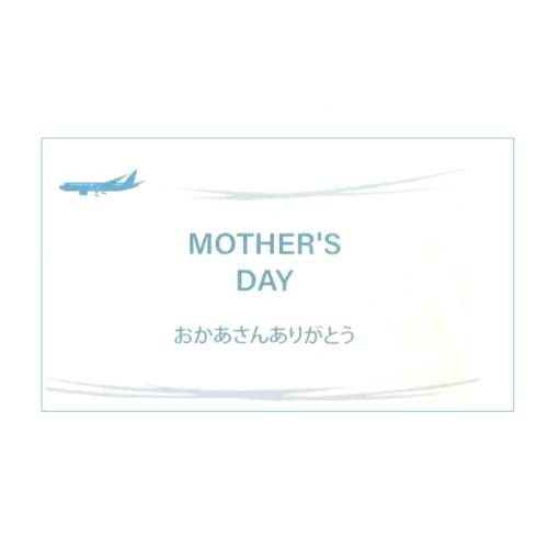 【母の日フラワーギフト】胡蝶蘭　Lisa　2本立（ミディ）【受注締め切り：2026/5/6】