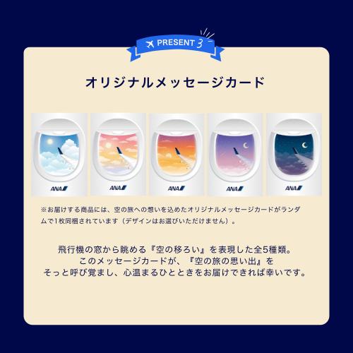 【300万食突破記念】第2弾ワクワク！食卓彩りセット（機内食10個+機内カトラリー&オリジナルランチョンマット）