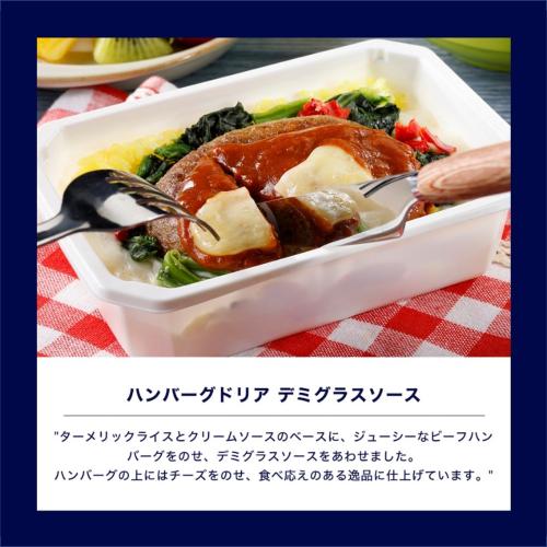 【300万食突破記念】第2弾ワクワク！食卓彩りセット（機内食10個+機内カトラリー&オリジナルランチョンマット）