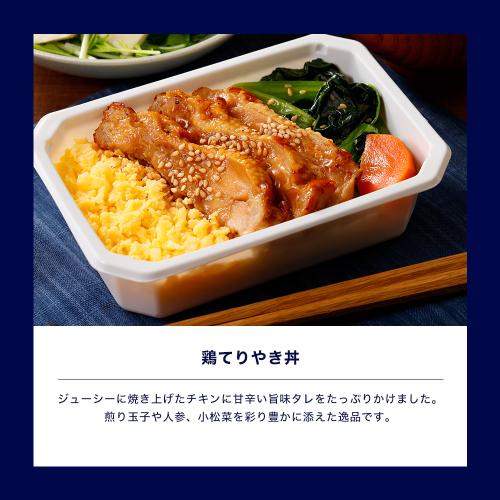 【300万食突破記念】第3弾ルンルン！おでかけテイクオフセット（機内食8個+オリジナル保冷バッグ）