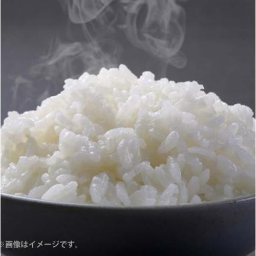 ＜みやぎ米屋＞石垣島産 星の美しゃ 5㎏