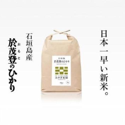 ＜みやぎ米屋＞石垣島産 於茂登のひかり 5㎏