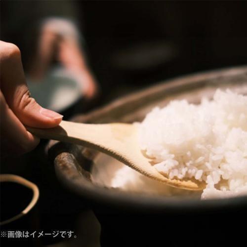 ＜みやぎ米屋＞石垣島産 於茂登のひかり 5㎏