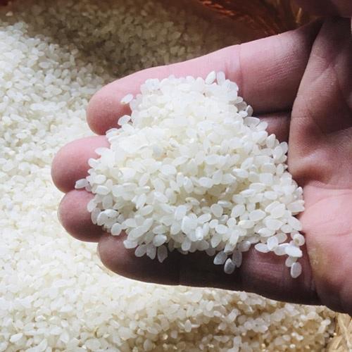 ＜みやぎ米屋＞ 石垣島産ひとめぼれ 5㎏