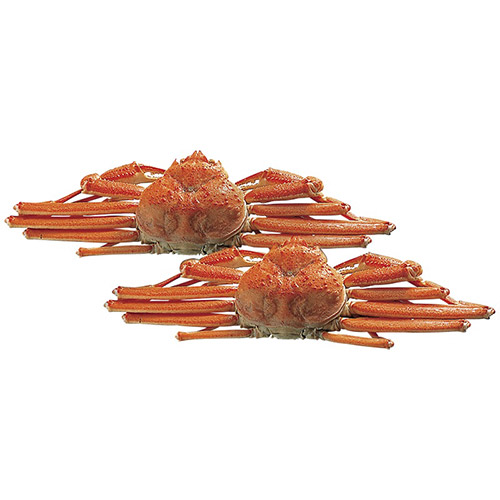 ボイルずわいがに姿 820g