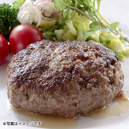 佐賀牛ハンバーグ（100g×5個）