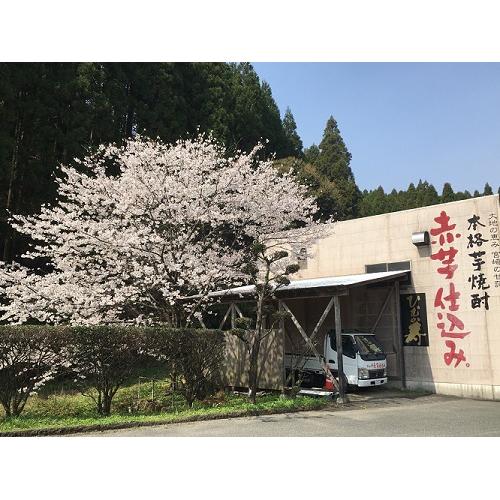 ＜寿海酒造＞寿海酒造　本格焼酎　イモ＋α