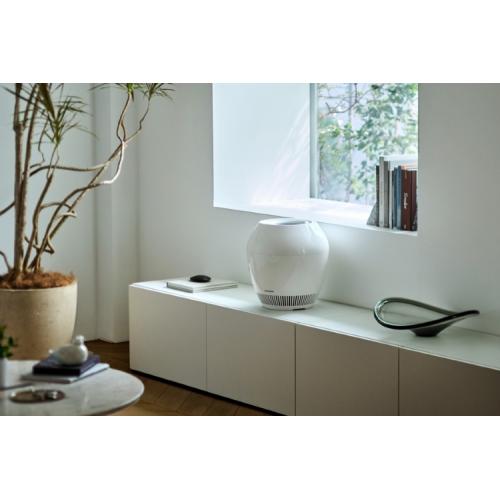 ＜バルミューダ＞BALMUDA  Rain　加湿器