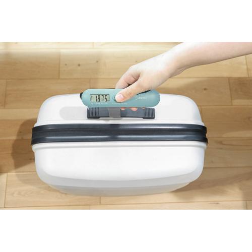 ＜dretec＞ドリテック　ラゲッジスケール　LS-114