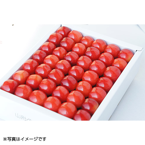 ＜中山果樹園＞佐藤錦鏡詰め秀品L玉1kg【受注締め切り日：2026/6/20】