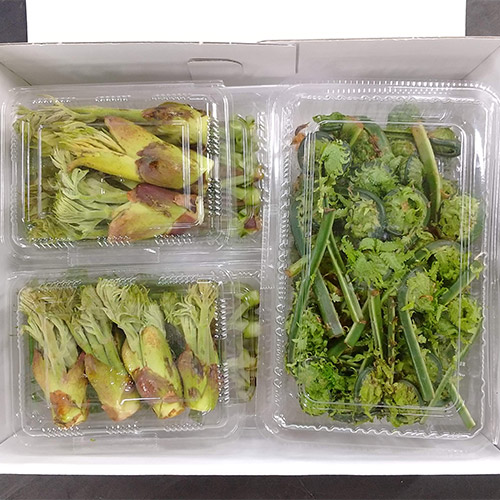 ＜山形県産＞山菜セット370g【受注締め切り日：2026/4/20】