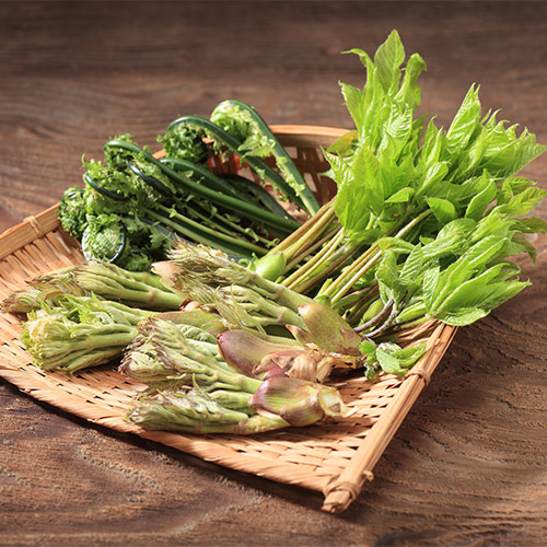 ＜山形県産＞山菜セット370g【受注締め切り日：2026/4/20】