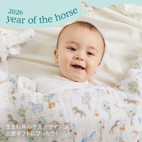 ＜aden + anais＞ウォッシュクロス/イヤーオブザホース・うま/3枚