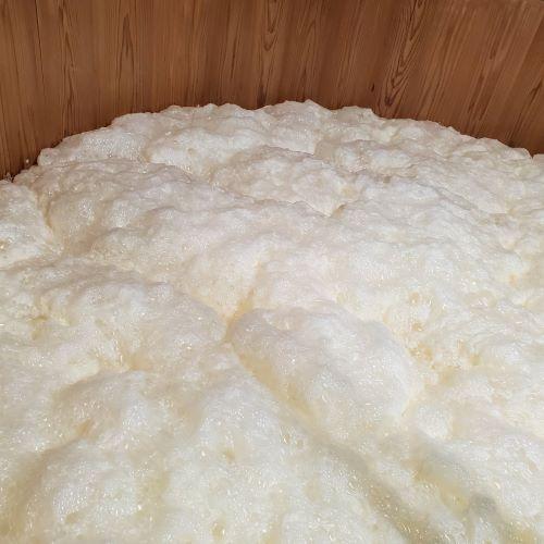 ＜藤井酒造＞龍勢　別格品　生酛;純米大吟醸　八反